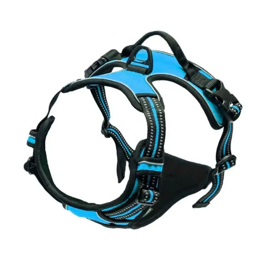arnais Anti-Traction en Y bleu