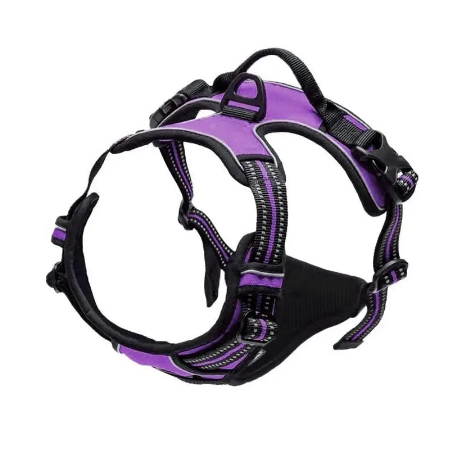 arnais Anti-Traction en Y violet