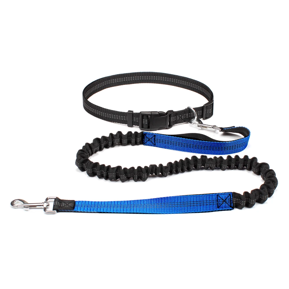 Laisse ceinture chien bleu