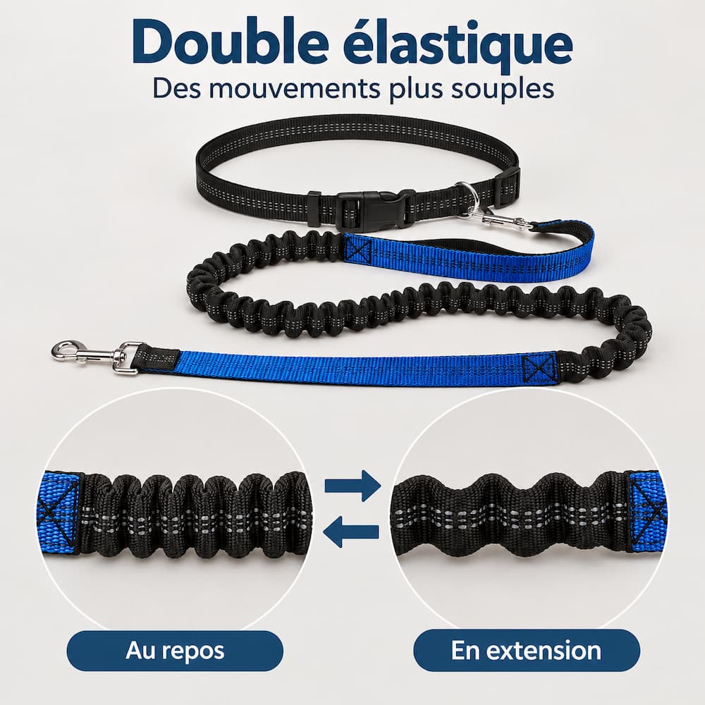 Laisse ceinture chien avec double élastique présenté au repos et en extension