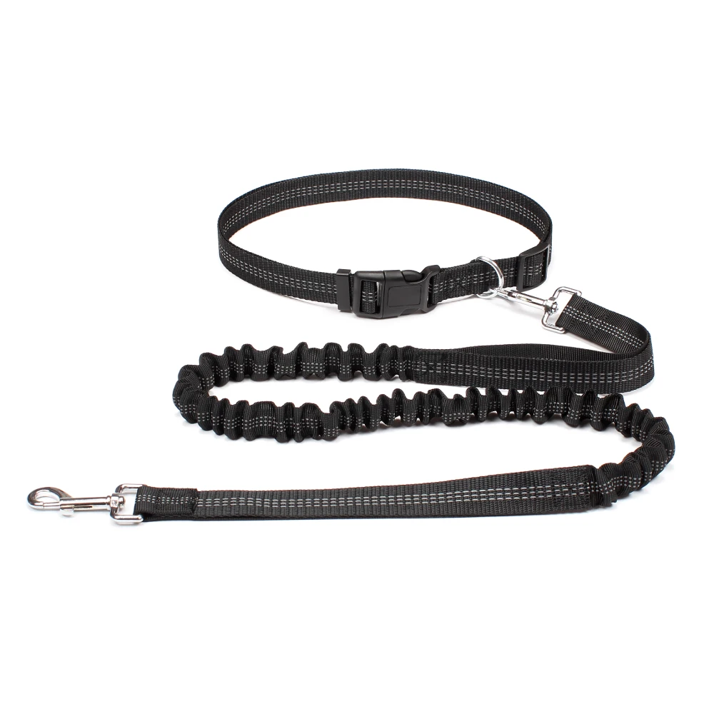 Laisse ceinture chien noir