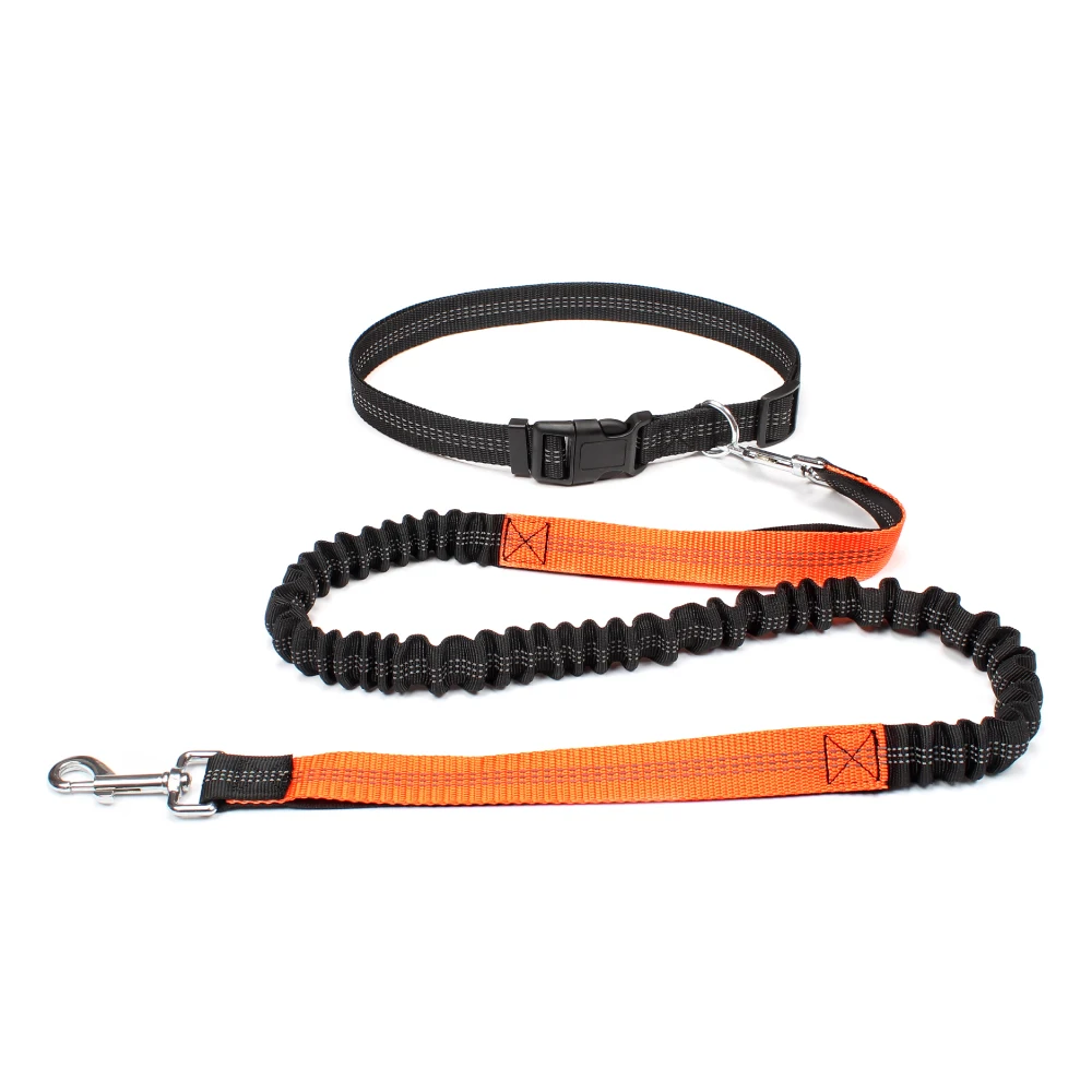 Laisse ceinture chien orange