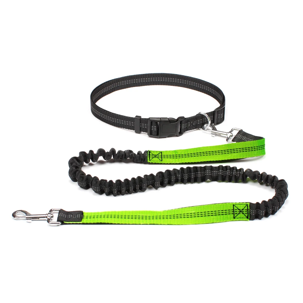 Laisse ceinture chien vert