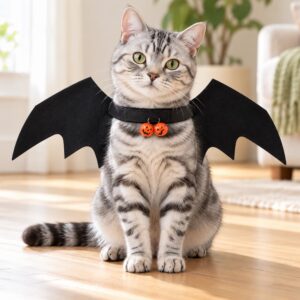 Chat tigré portant un déguisement chauve-souris aux ailes noires et deux clochettes citrouille orange.